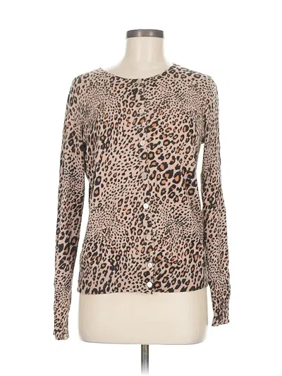 Pre-owned Time And Tru Pullover Sweater In Brown