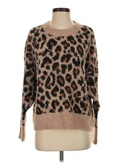 Pre-owned Time And Tru Pullover Sweater In Brown