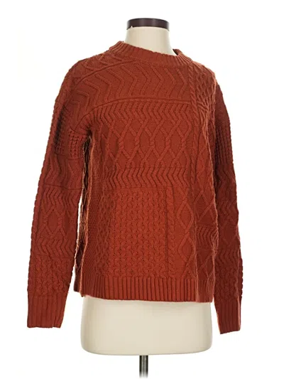 Pre-owned Time And Tru Pullover Sweater In Brown