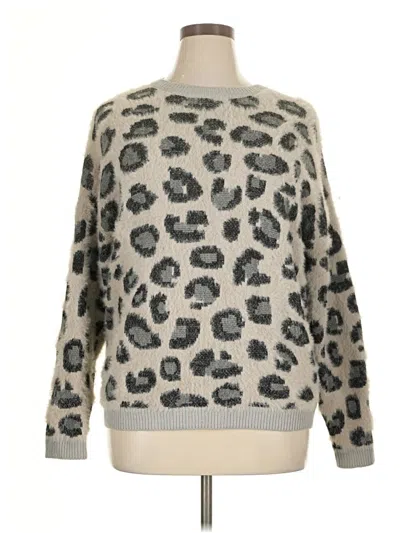 Pre-owned Time And Tru Pullover Sweater In Gray