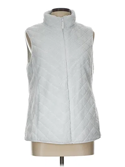 Pre-owned Time And Tru Sweater Vest In Silver
