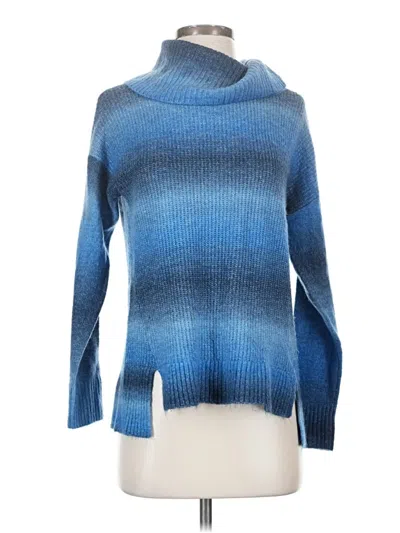 Pre-owned Time And Tru Turtleneck Sweater In Blue