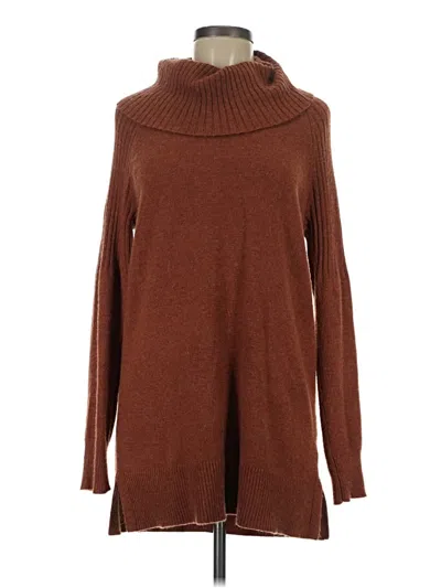 Pre-owned Time And Tru Turtleneck Sweater In Brown