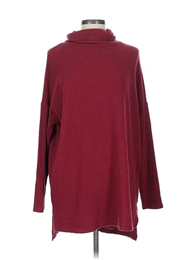 Pre-owned Time And Tru Turtleneck Sweater In Burgundy