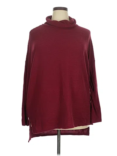 Pre-owned Time And Tru Turtleneck Sweater In Burgundy