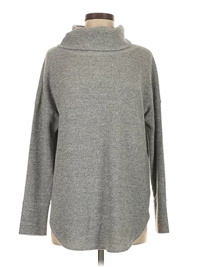 Pre-owned Time And Tru Turtleneck Sweater In Gray