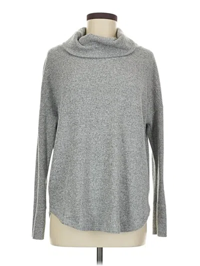 Pre-owned Time And Tru Turtleneck Sweater In Gray