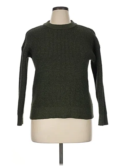 Pre-owned Time And Tru Turtleneck Sweater In Green
