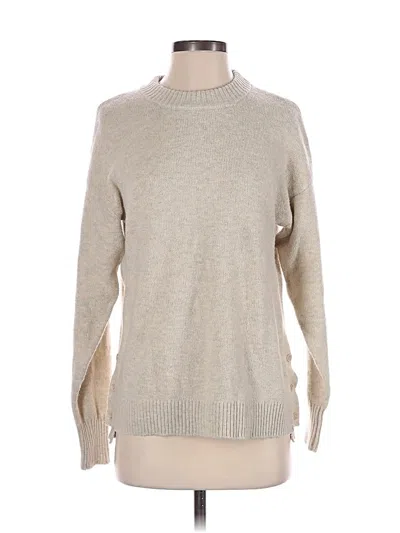 Pre-owned Time And Tru Turtleneck Sweater In Tan