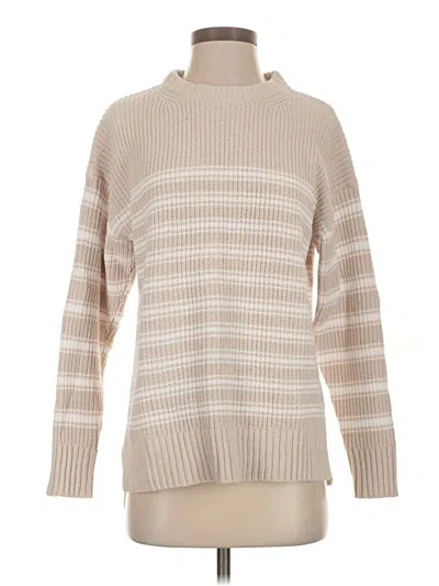 Pre-owned Time And Tru Turtleneck Sweater In Tan