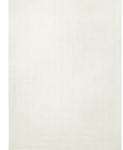 Timeless Rug Designs Sterling S3419 5'0x8'0 Area Rug In White