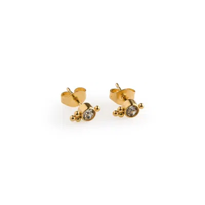 Timi Of Sweden Women's Gold Bibi - Crystal Stud Earrings Stainless Steel