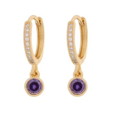 Timi Of Sweden Women's Gold Dina - Purple Crystal Hoop Earrings
