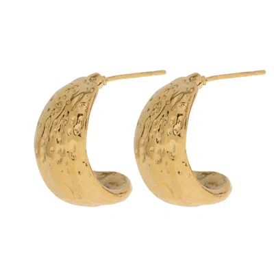 Timi Of Sweden Women's Gold Ezri - Walnut Stud Earrings Stainless Steel