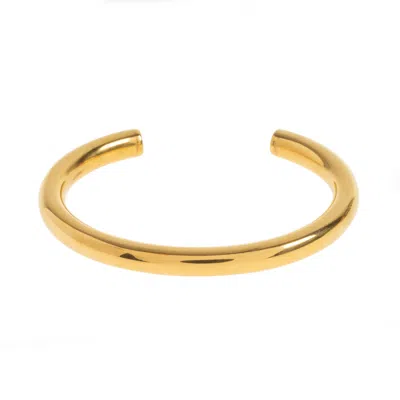 Timi Of Sweden Women's Gold Hästvig Earrings & Bangle Bracelet Set