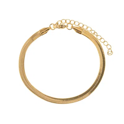 Timi Of Sweden Women's Gold Ivy - Snake Chain Bracelet Stainless Steel