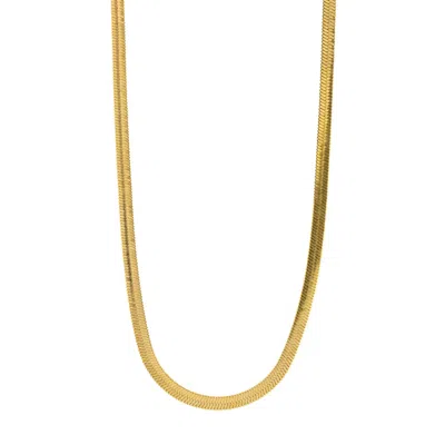 Timi Of Sweden Women's Gold Ivy - Snake Chain Necklace Stainless Steel