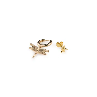 Timi Of Sweden Women's Gold Noomi - Dragonfly Earrings Set