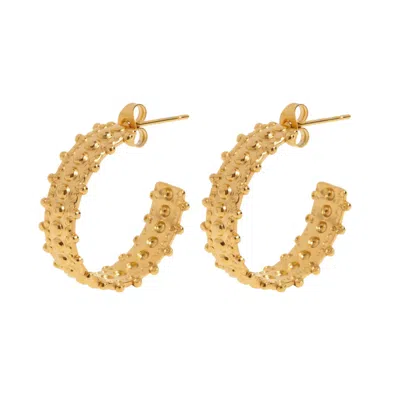 Timi Of Sweden Women's Gold Rumi - Bohemic Hoop Earrings Stainless Steel