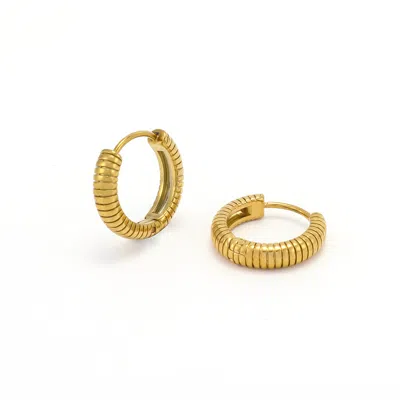 Timi Of Sweden Women's Gold Vivia - Ribbed Hoop Earrings Stainless Steel