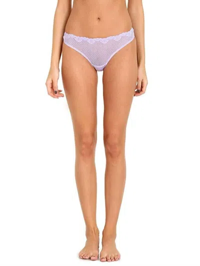 Timpa Lingerie Duet Lace Low Rise Thong In Lilac In Blue