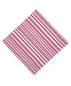 Tina Chen Designs Cotton Stripe Napkins, Set Of 4