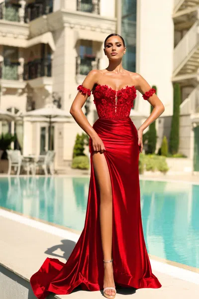 Tina Holly Tk583 Red 4 Sale