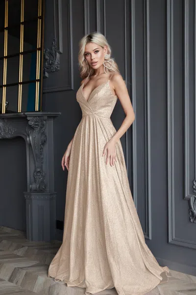 Tina Holly Tw079 Long Formal Evening Prom Dress In Neutral