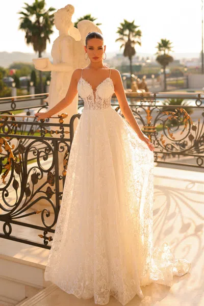 Tina Holly Tw133 Long A Line Corset Lace Wedding Dress In Brown