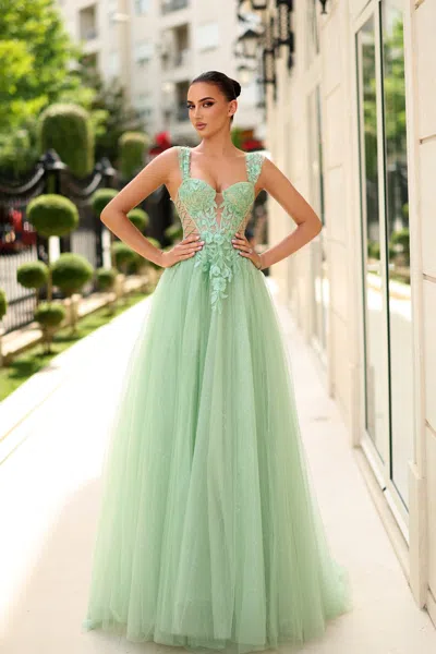 Tina Holly Tw500 Long Formal Lace Applique A Line Prom Dress In Green