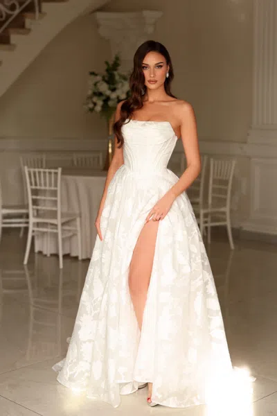 Tina Holly Tw623