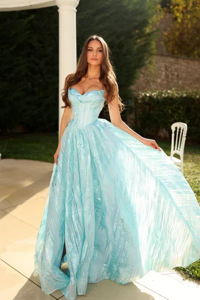Tina Holly Tz601
