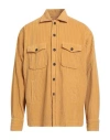 Tintoria Mattei 954 Man Shirt Marigold Size Xxl Cotton In Yellow