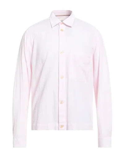 Tintoria Mattei 954 Man Shirt Pink Size 16 Cotton, Elastane
