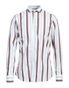 Tintoria Mattei 954 Man Shirt Sky Blue Size 17 Cotton In Blue