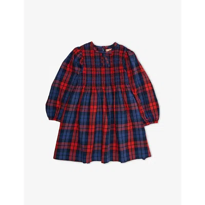 Tiny Cottons Kids' Hecked Long-sleeve Cotton Dress 2-10 Years Multicolo In Multicolor