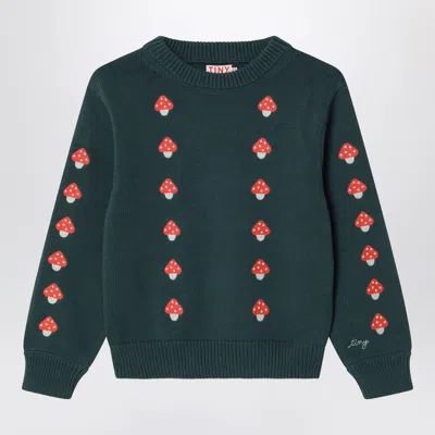 Tiny Cottons Mini Embroidered Mushroom Cotton Sweater For Girls In Green