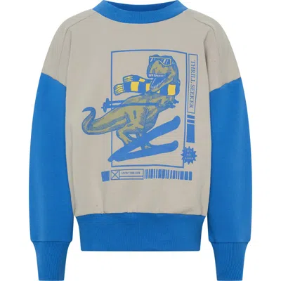Tiny Tribe Kids' Skating Dino Sweatshirt In Grey Multi