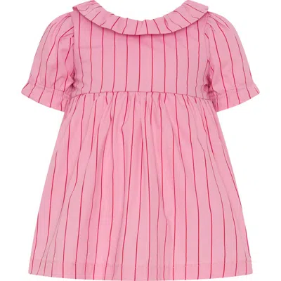 Tiny Tribe Babies'  Stripe Empire Waist Cotton Dress In Pink