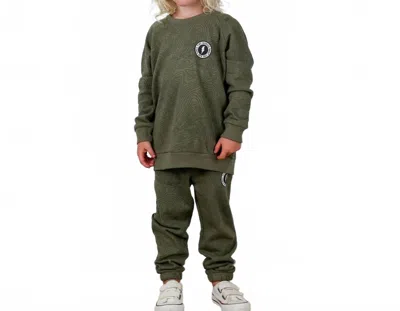 Tiny Whales Kids' Boy's Traveler Sweater Top In Pine In Silver