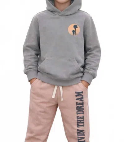 Tiny Whales Kids' Livin The Dream Hoodie Sweatshirt In Coal In Gray