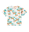 Tinycottons Strawberries Cotton Jersey T-shirt In Multicoloured