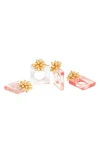 Tiramisu Acrylic Set Of 4 Napkin Rings In Multi