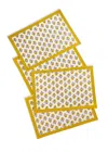 Tiramisu Set Of 4 Golden Marigold Block Print Placemats In Multi