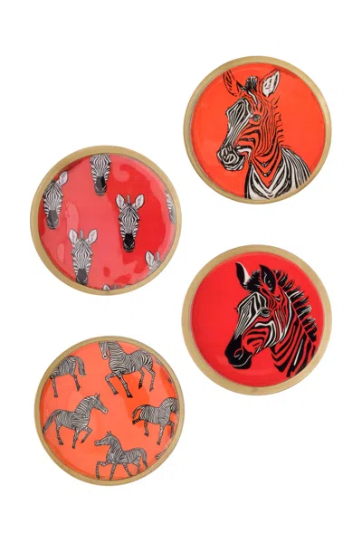 Tiramisu Safari Chic Metal Coaster Set (zebra Print) In Orange