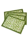 Tiramisu Scarlet Set Of 4 Placemats In Green