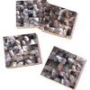 Tiramisu Set Of 4 Mother Of Pearl Resin Coasters In Grey