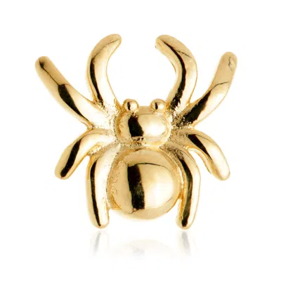 Tish Lyon Women's Athena 14ct Solid Gold Spider Flatback Stud - Gold