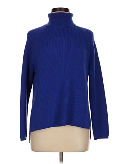 Pre-owned Title Nine Turtleneck Sweater In Blue