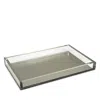 Tizo Lucite Tray In Silver